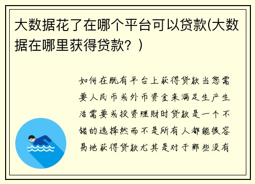 大数据花了在哪个平台可以贷款(大数据在哪里获得贷款？)